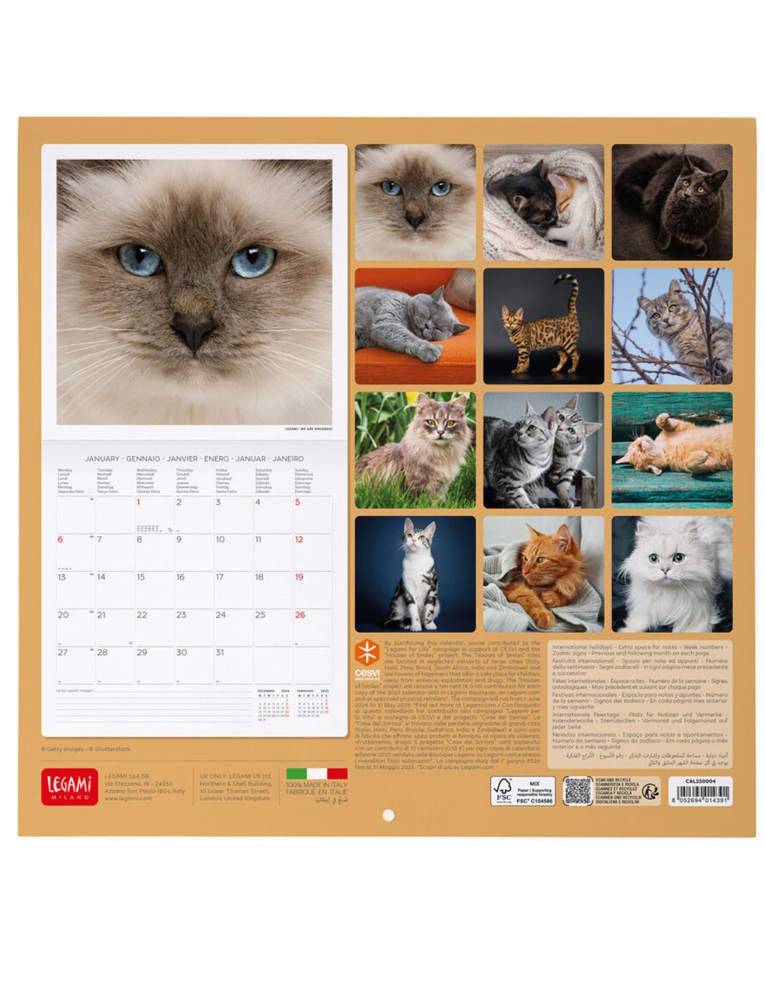 CALENDARIO WALL - 2025 - CATS - 30X29 - CATS